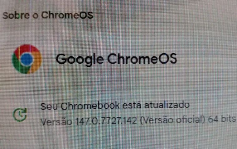 Apple iMac A1224 Intel Core 2 Duo 2.4 GHz E8135 RAM 4GB SSD 1TB 20 Polegadas ChromeOS Flex - Foto 2