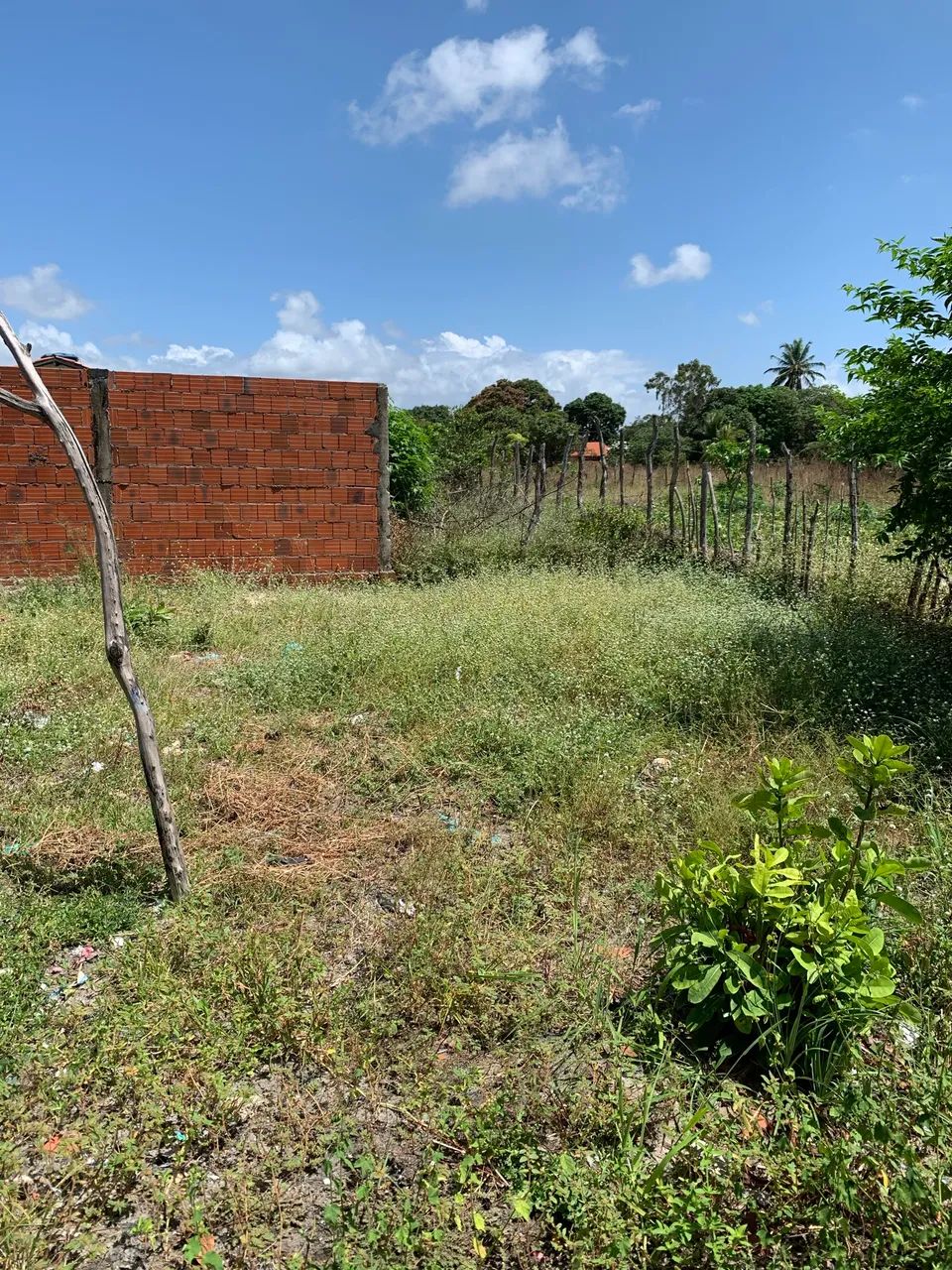 Terreno com casa em pindoretama  - Foto 5