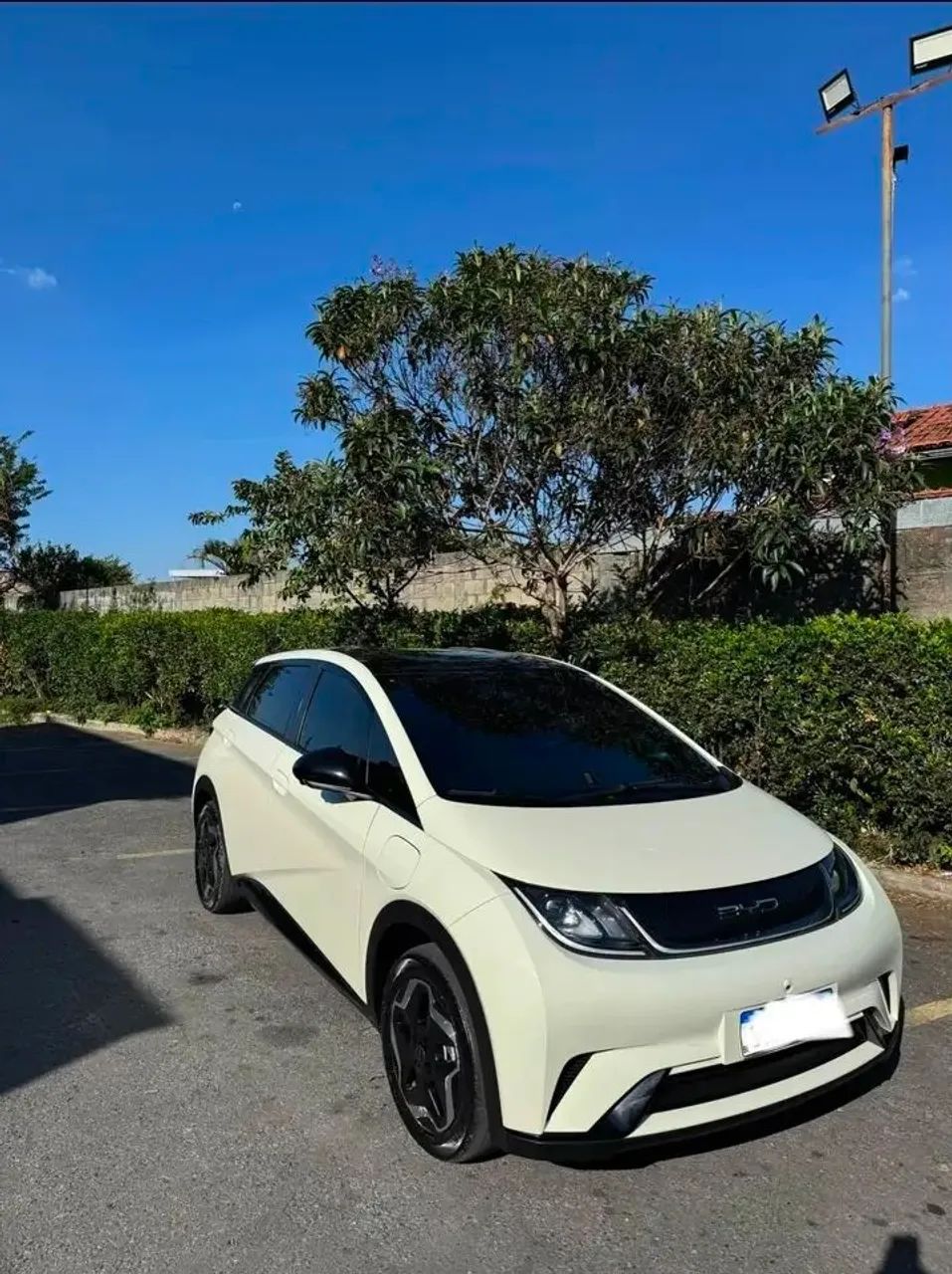 BYD Dolphin Dolphin Plus (Elétrico) 2024
