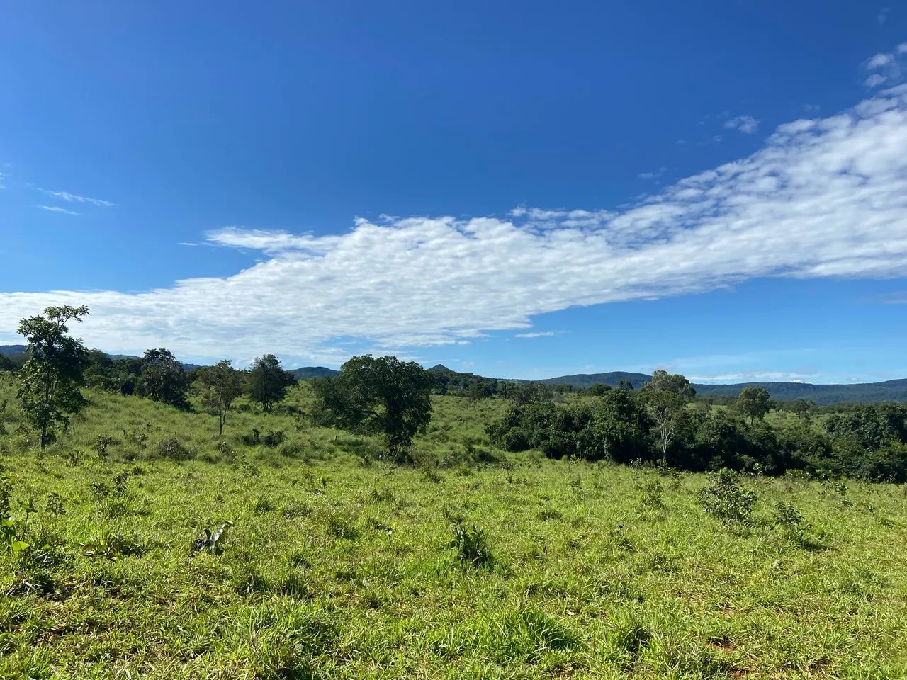 Foto - Goiânia - Setor Leste Universitário