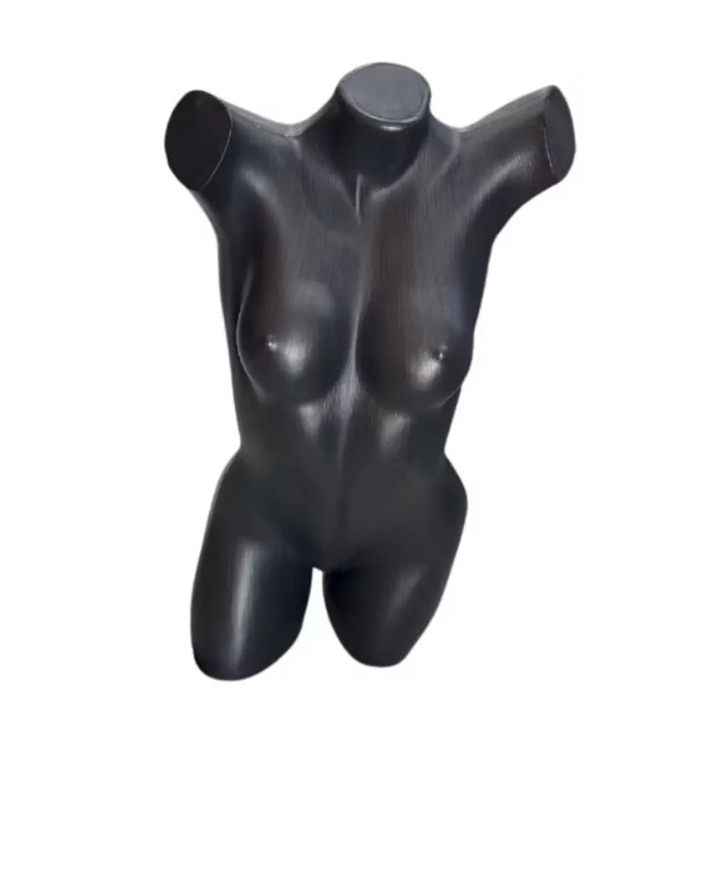 Manequim busto Claudia Raia 