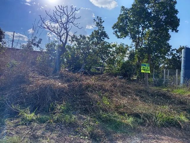 ? Lote à Venda - Excelente Localização e Ótima Oportunidade!