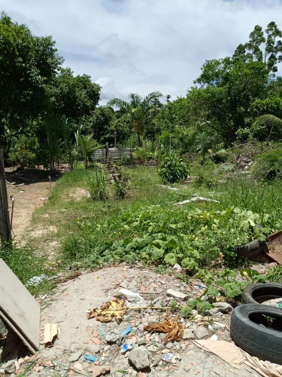 Vendo terreno no maruin - Foto 2