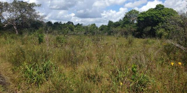 Morros - Ma: Vendo uma Excelente Propriedade Rural - Foto 12