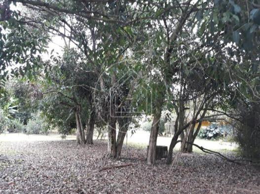 Sítio à venda com 4 dormitórios em Caxito, Maricá cod:859325 - Foto 16