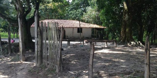 Morros - Ma: Vendo uma Excelente Propriedade Rural - Foto 7