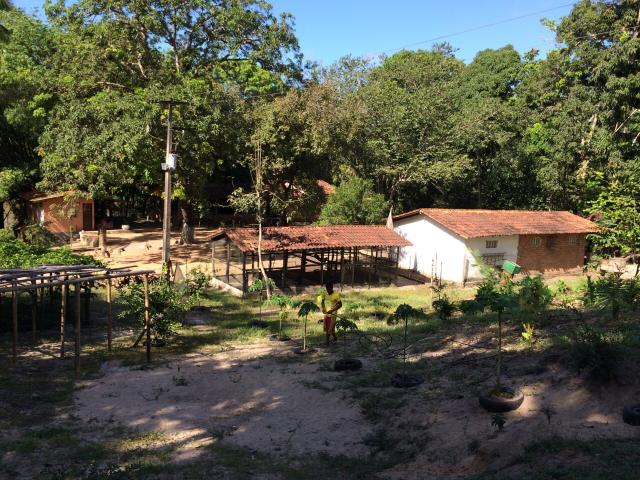 Axixá - Maranhão: Excelente Fazenda p/ Vender - Foto 8