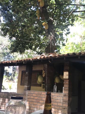 Axixá - Maranhão: Excelente Fazenda p/ Vender - Foto 19