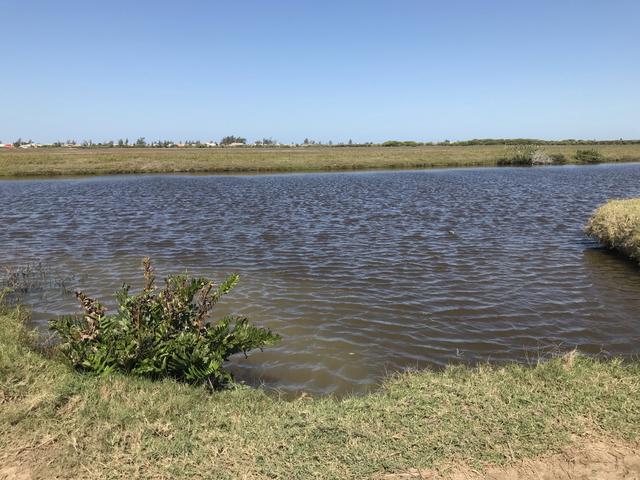 Ótima propriedade em Boa Vista com 55 alqueires - Foto 13