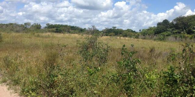Morros - Ma: Vendo uma Excelente Propriedade Rural - Foto 13