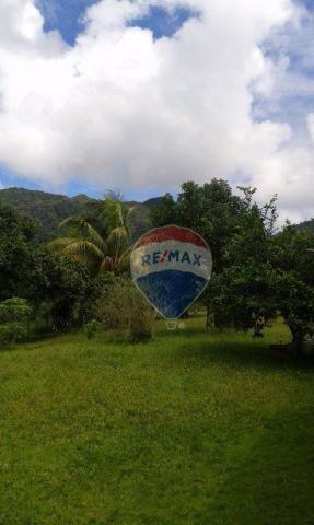 Fazenda à venda em una. - Foto 13