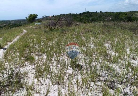 Terreno residencial à venda, coroa vermelha, santa cruz cabrália. - Foto 2