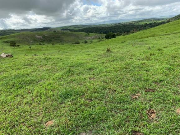 Fazenda para venda em passira, passira - Foto 9