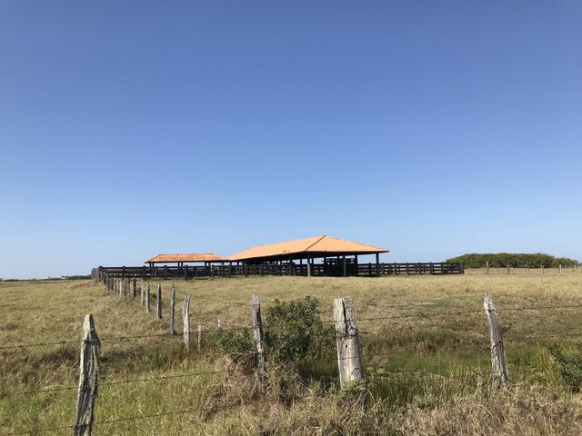 Ótima propriedade em Boa Vista com 55 alqueires - Foto 4