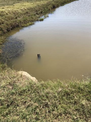 Ótima propriedade em Boa Vista com 55 alqueires - Foto 12