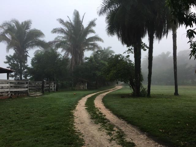 Fazenda com 980 hectares no município de Palmeirais-PI, 95 km de Teresina