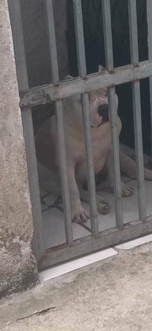 Procura-se uma namorada - Foto 2