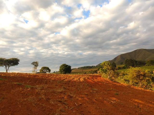 Sitio em Lavras - Foto 8