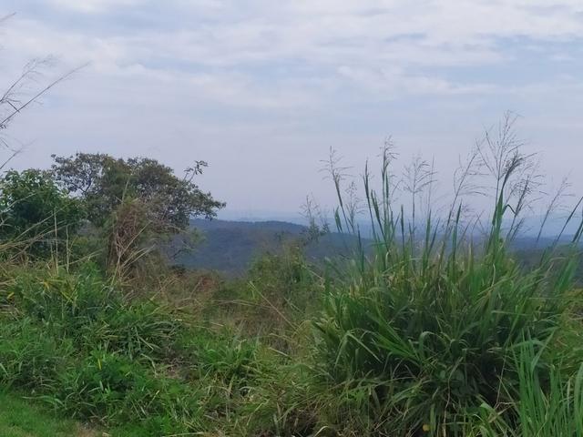 Terreno Rural/fazendinhas financiadas em Jaboticatubas - MVT - Foto 4