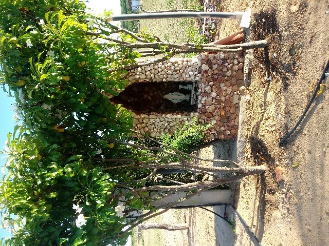 Propriedade rural - Foto 18