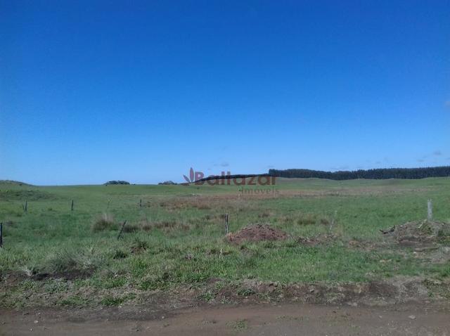 Vendo este excelente e magnífico campo, um verdadeiro paraíso, com a área de 150 hectares - Foto 10