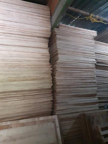 Vendo Ripas de Pinho e Compensados - Foto 2