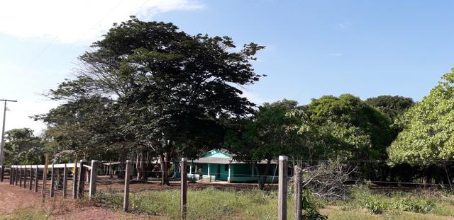 Terreno - Foto 2