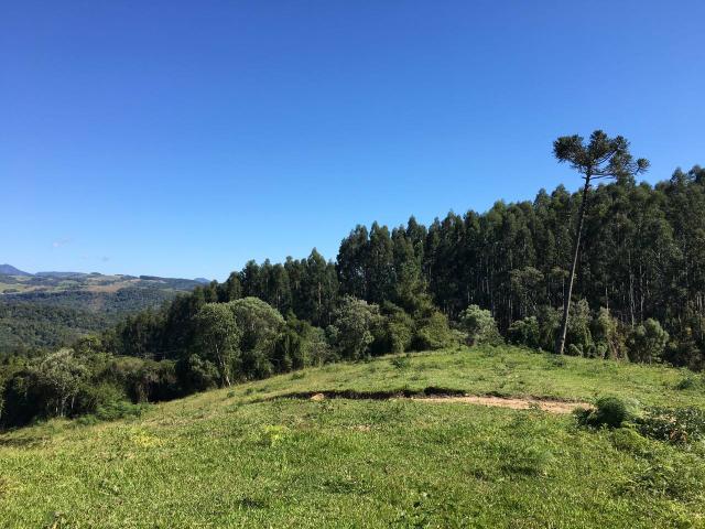 Vendo uma chácara em Alfredo Wagner 25.000 - Foto 4
