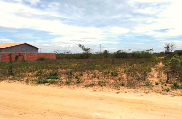 Terreno 450 m² com escritura - Foto 3