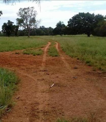 109 Alq. Entrada 50% Da Condições Planta 75 Dupla Aptidão Da Pivô Estruturada Piranhas GO - Foto 4