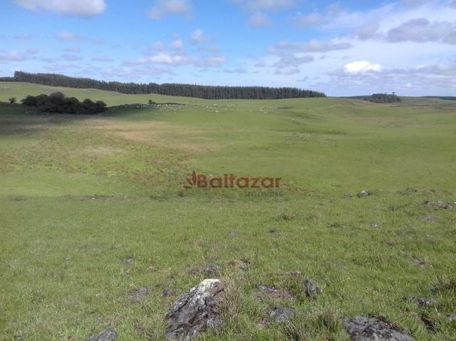 Vendo este excelente e magnífico campo, um verdadeiro paraíso, com a área de 150 hectares - Foto 2