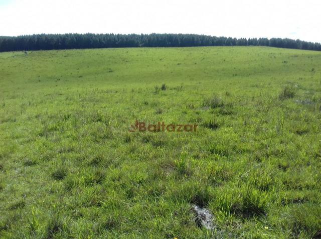 Vendo este excelente e magnífico campo, um verdadeiro paraíso, com a área de 150 hectares - Foto 6