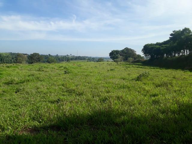 Área 20.000 m2 ao lado da walita em frente à rodovia BR 491 - Foto 9