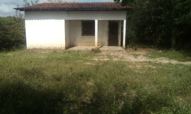 Sítio Bairro Tajaçuaba - São Luís (Ma)