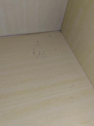 Vendo - Foto 2