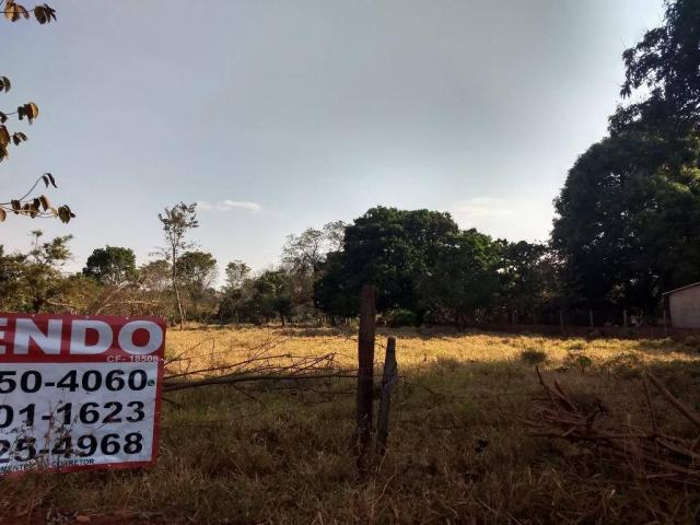 Chácara à venda, 4000 m² por r$ 230.000 - san diego - goianira/go - Foto 4