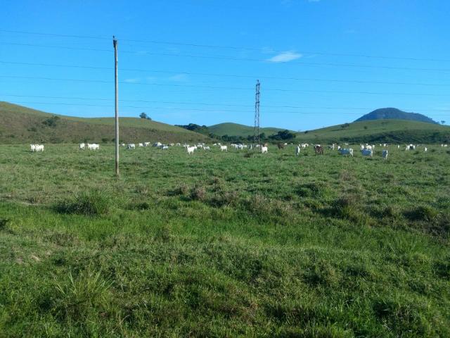 Ótima Fazenda em Casimiro de Abreu-RJ - Foto 6