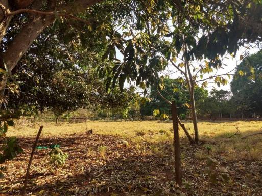 Chácara à venda, 4000 m² por r$ 230.000 - san diego - goianira/go - Foto 9