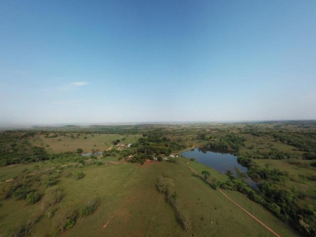 625 Alq. na Cultura | Ipameri-Goiás. Abaixo do Preço! - Foto 2