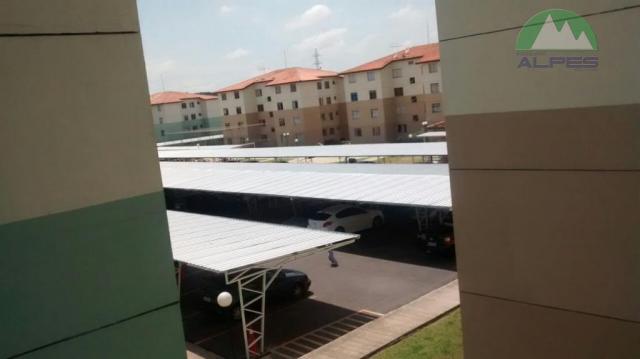 Apartamento residencial à venda, sítio cercado, curitiba. - Foto 5