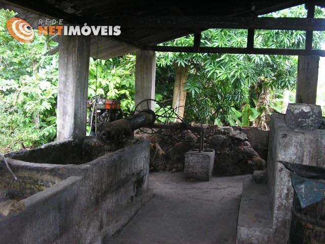 Fazenda com 52,5 Hectares com Fábrica de Azeite de Dendê à Venda na Ilha de Boipeba 402074 - Foto 14