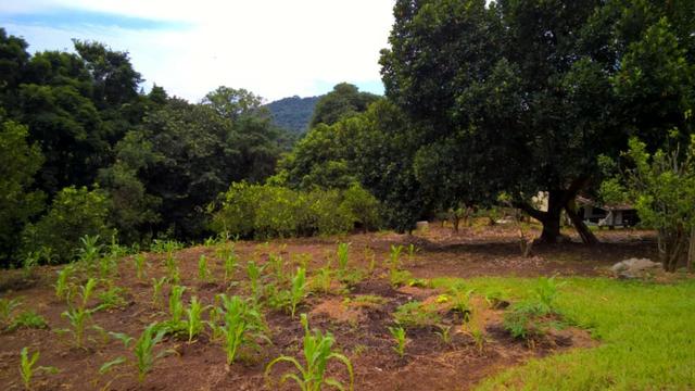 3117m² Chácara em Vargem Sp! Cód. VBL-1 - Foto 9
