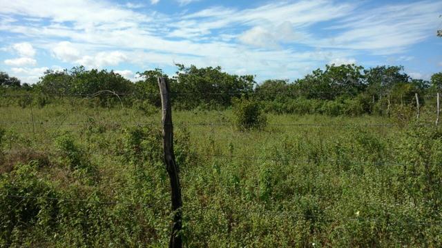 Granja 7 hectares, Casa simples,próximo a RN 064, Cercada - Foto 7