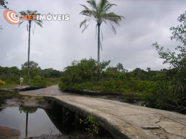 Fazenda com 52,5 Hectares com Fábrica de Azeite de Dendê à Venda na Ilha de Boipeba 402074 - Foto 11