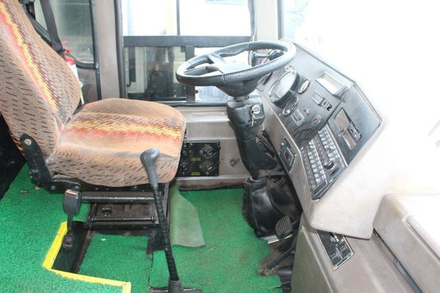 Onibus dipromata nielson - Foto 4