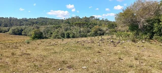 Chácara 2,0 Ha Dalagno - Foto 9