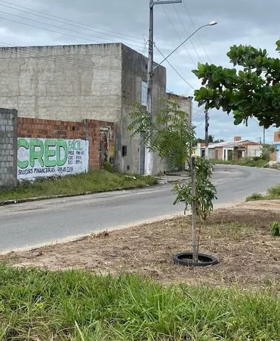 Vendo Terreno na av do Albano  - Foto 4