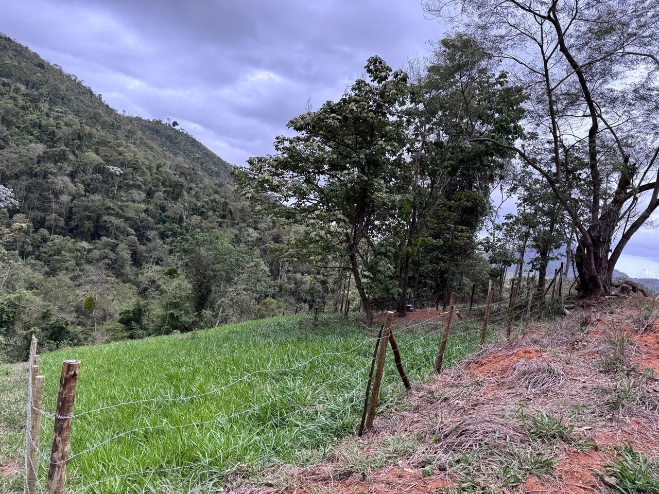 foto - Cariacica - Bela Vista