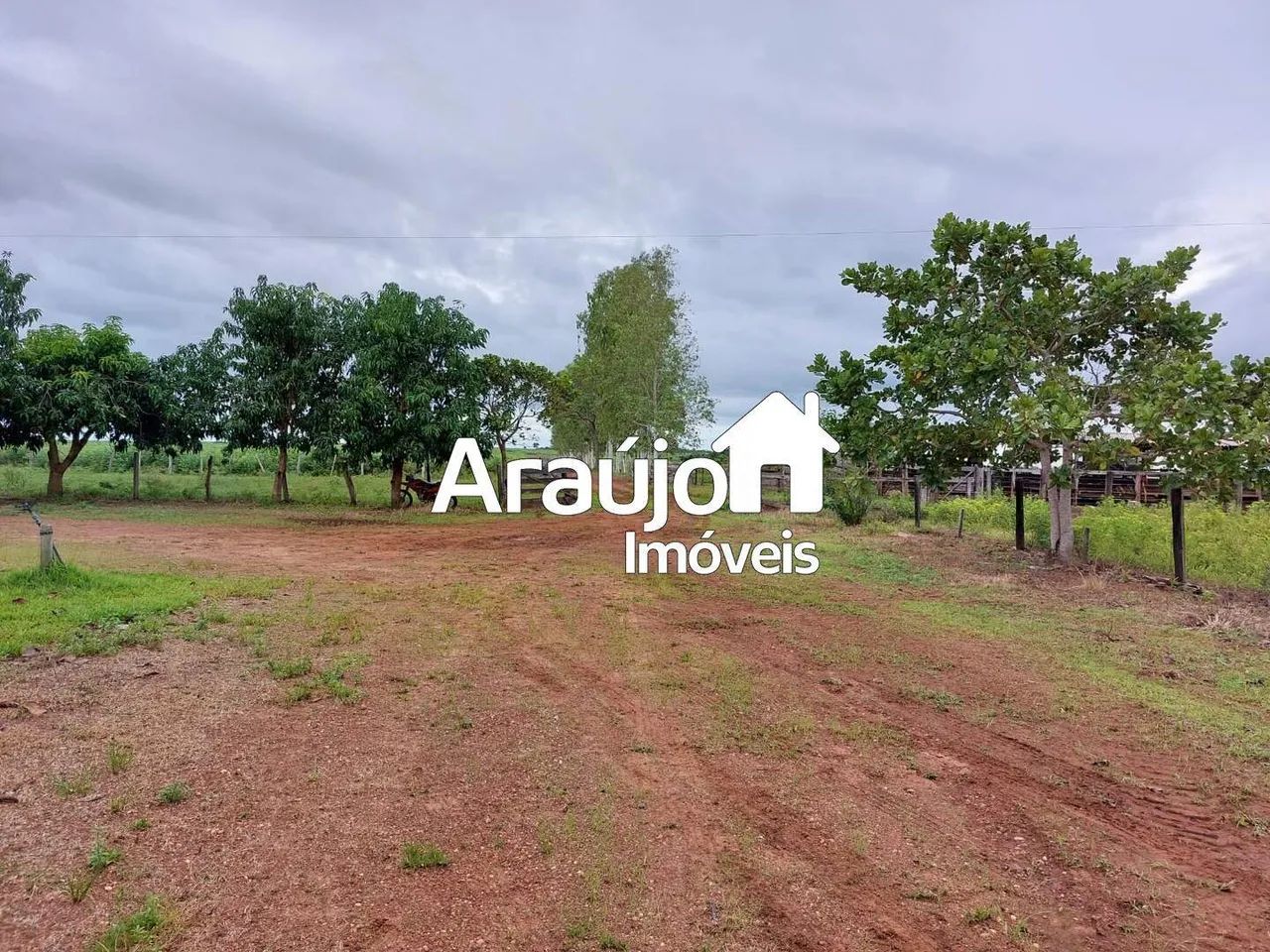 Fazenda, Setor Central, Divinópolis do Tocantins - R$ 17 mi, Cod: 2463 - Foto 5