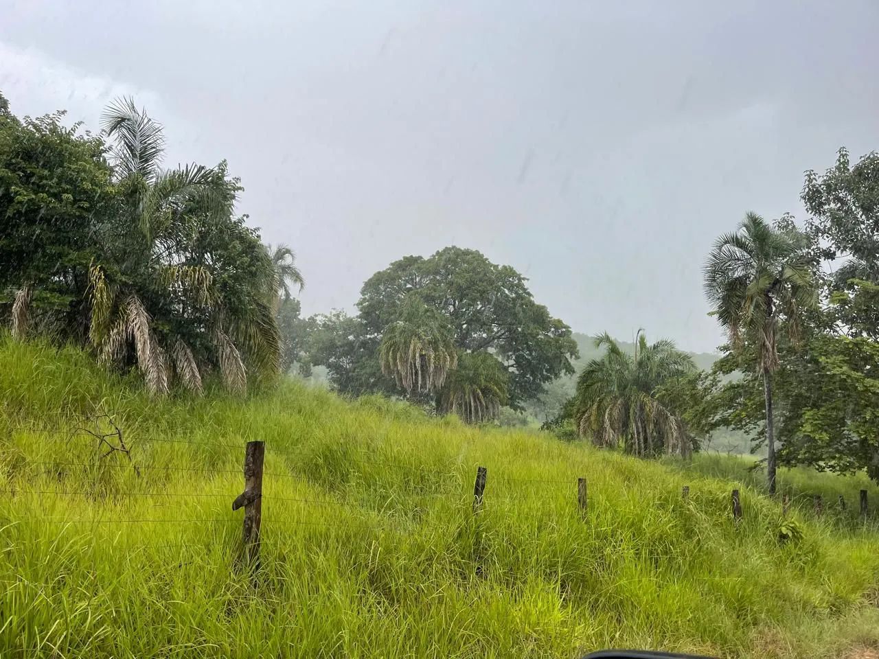 Fazenda boa disponível  - Foto 4